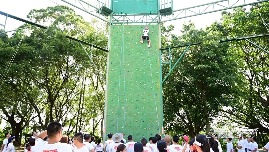 拓展基地高空架