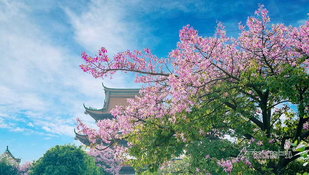 观音山森林公园