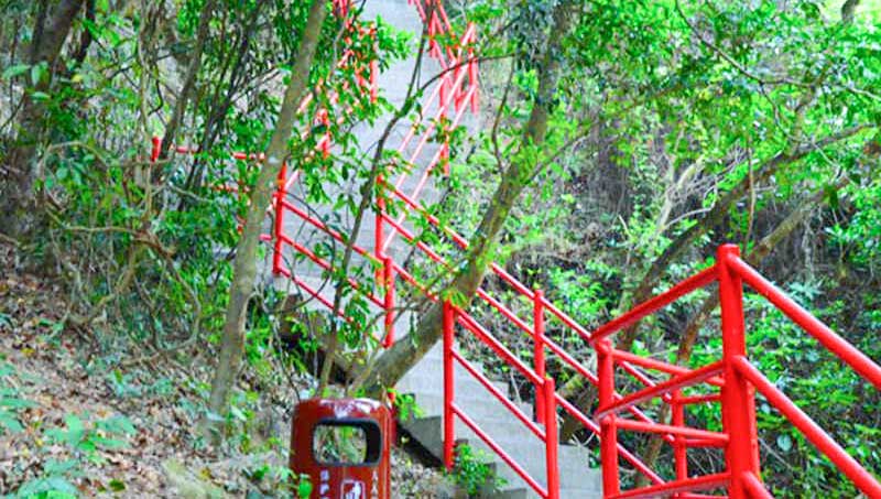 马峦山登山道