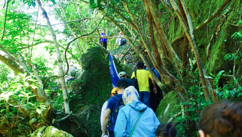 马峦山郊野公园