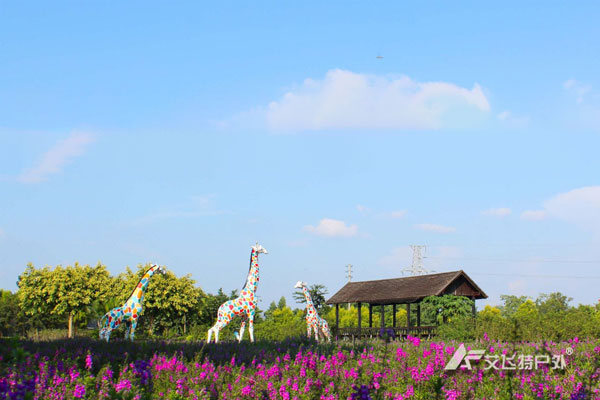 广州花都香草世界拓展培训基地